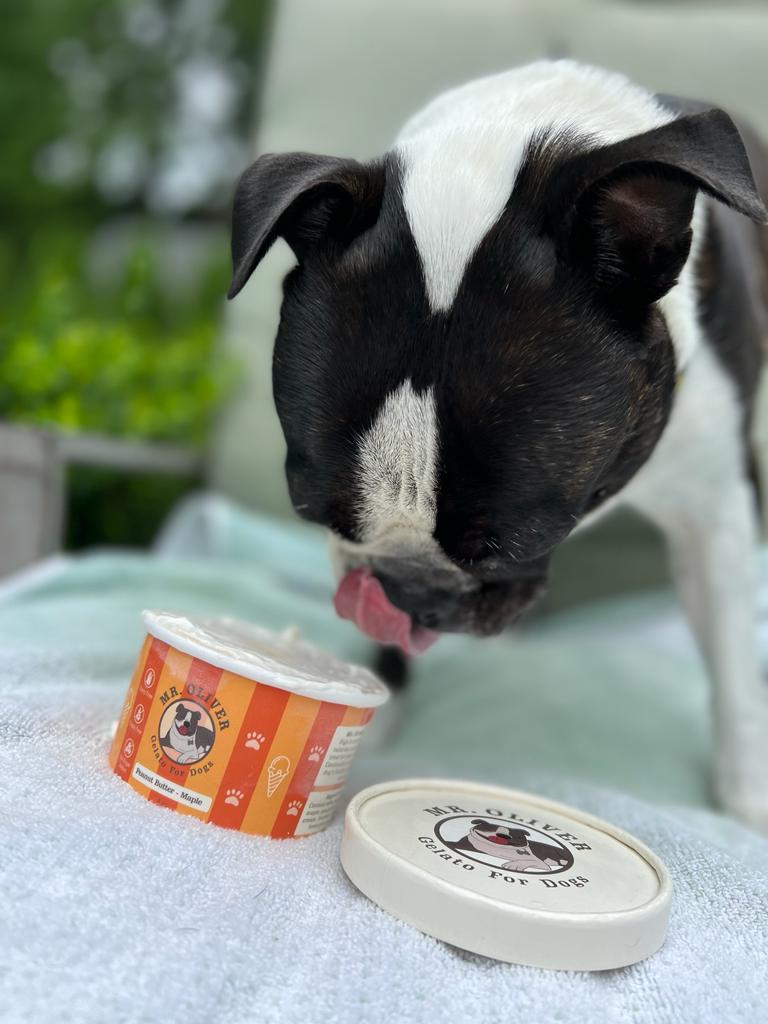 mr oliver eating gelato